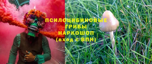 гидропоника Заводоуковск