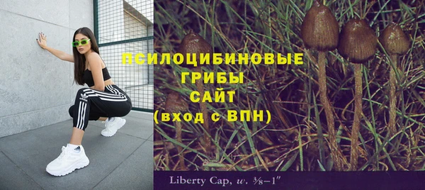 гидропоника Заводоуковск