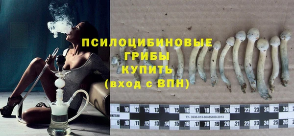 гидропоника Заводоуковск